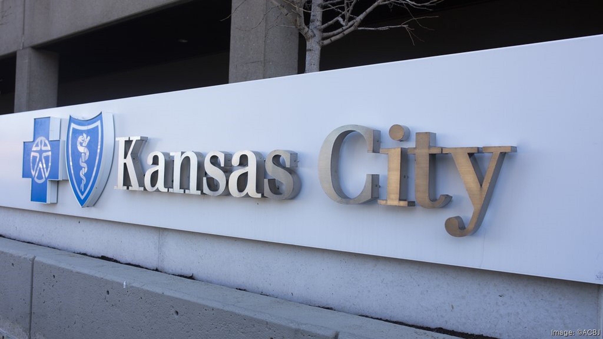 Bcbs Of Kansas Jobs