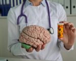 Brain