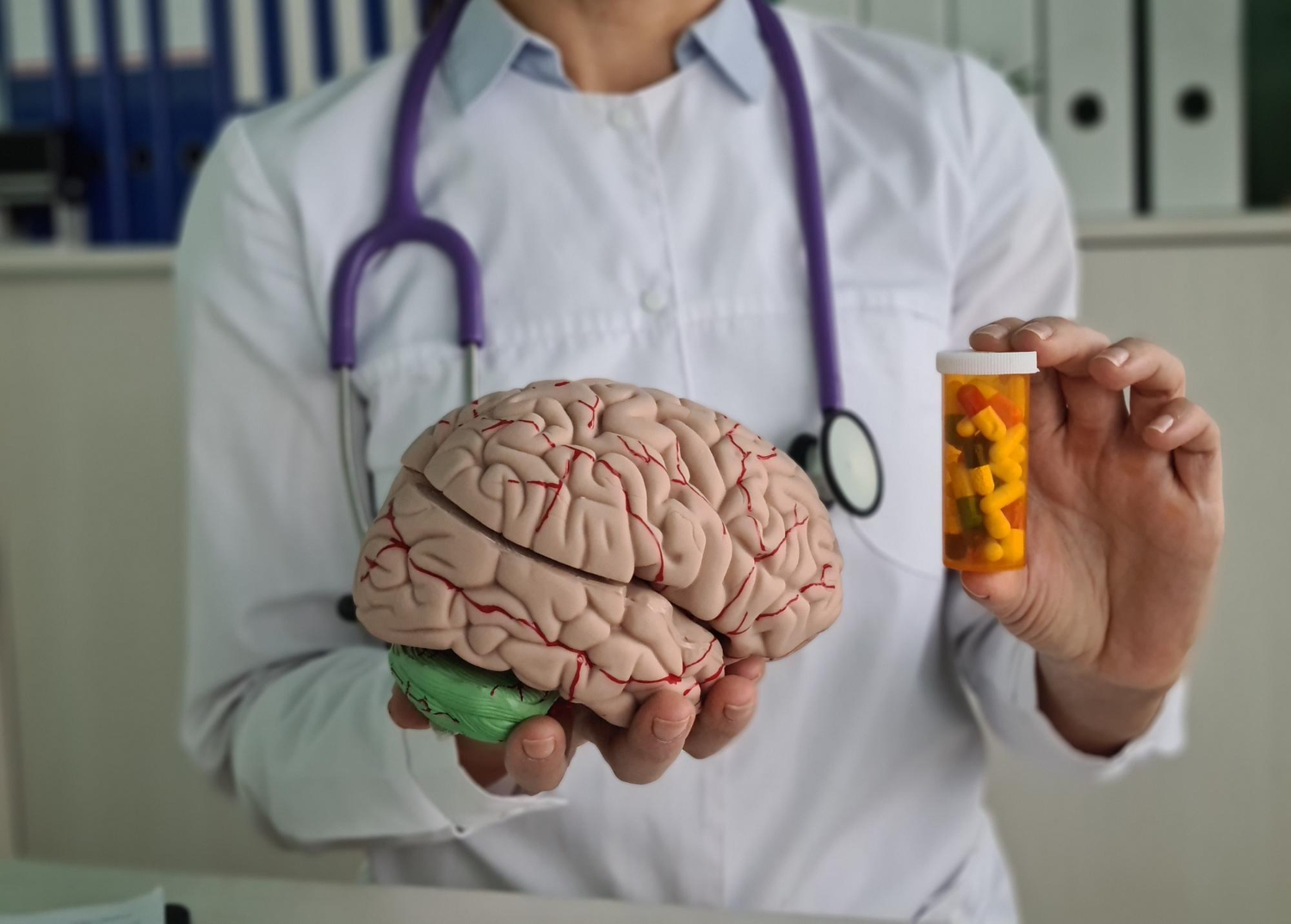 Brain